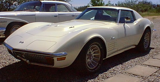 vette.jpg (51692 bytes)