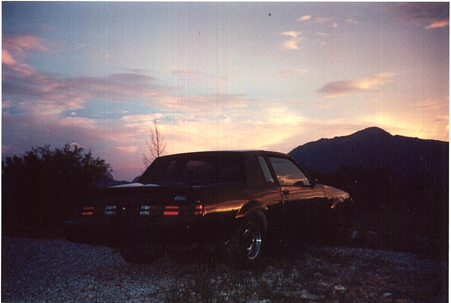 zor at sunset back.jpg (91357 bytes)